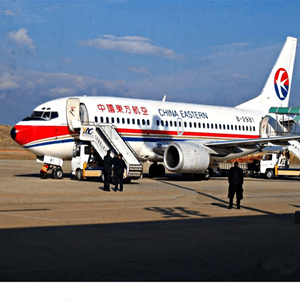 阿勒泰雪都航空货运航空快运业稳步发展的原因是什么？